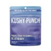 Blueberry | Gummies 100mg