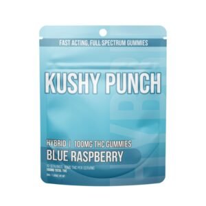 Blue Raspberry | Gummies 100mg